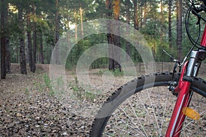 Mountain bike ready to go on a trail in the woods with sunrise