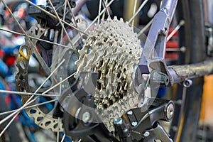 Mountain Bike Rear Cassette