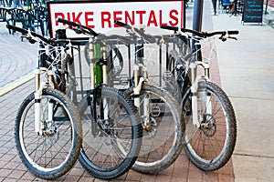 Mountain Bike Rentals