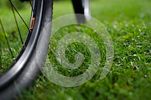 Mountain bike stands on fresh grass.