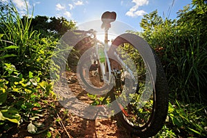 Mountain bike on summer forest trail