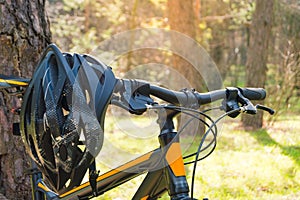 Mountain Bike on Summer Trail in the Beautiful Pine Forest Lit by the Sun. Adventure and Cycling Concept.
