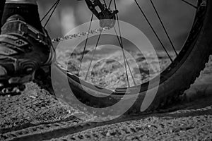 Mountain Bike Tire