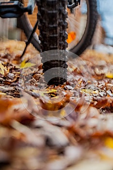 Mountain bike tire on the ground