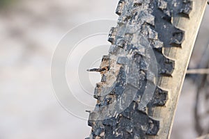 A mountain bike tire with a rusty nail