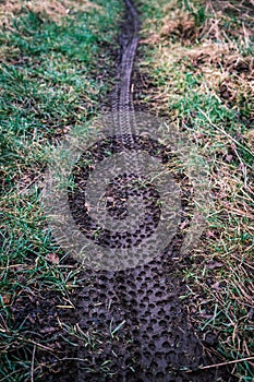 Mountain Bike Tire Tracks