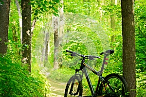 Mountain Bike on the Trail in the Forest photo