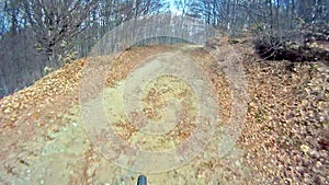 Mountain Bike traveling fast along dirt track