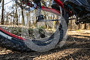 Mountain bike tyre close-up on a trail