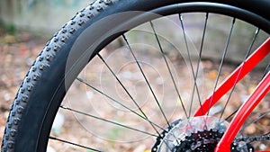 Mountain bike wheel back,spokes,bicycle stars,close-up