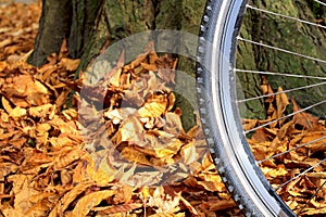 Mountain bike wheel and tire tread