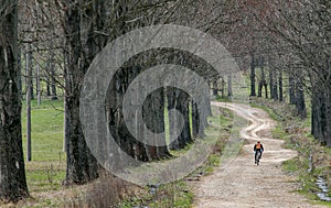 Mountain biker