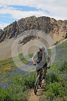 Mountain biker