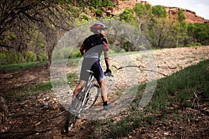 Mountain biker in canyon