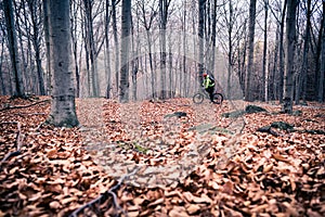 Mountain biker on cycle trail in woods