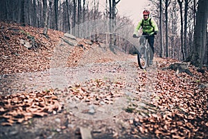 Mountain biker on cycle trail in woods