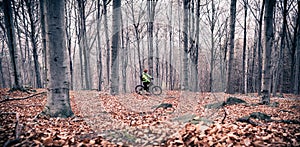 Mountain biker on cycle trail in woods