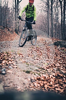 Mountain biker on cycle trail in woods