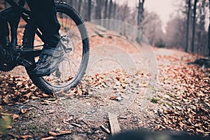 Mountain biker on cycling trail in woods