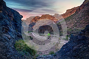 Mountain biker at the desert