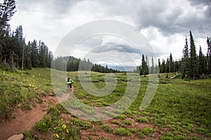 Mountain Biker rides down singletrack trail
