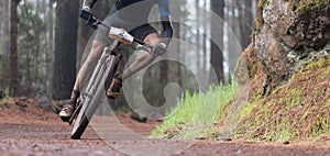 Mountain biker riding on bike singletrack trail