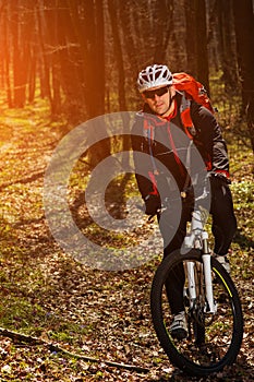 Mountain biker riding on bike in springforest landscape.