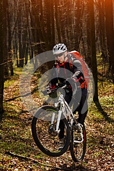 Mountain biker riding on bike in springforest landscape.