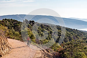 Mountain biker riding on bike in summer sunset woods