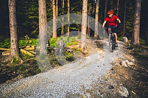 Mountain biker riding cycling in inspiring summer forest