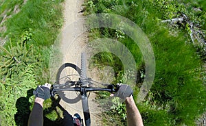 Mountain biker riding down on singletrack trail.