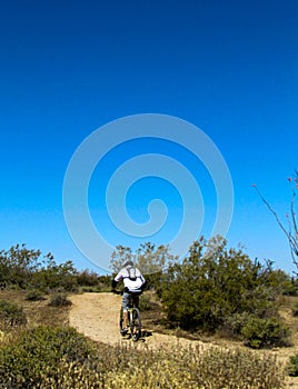 Mountain Biker riding uphill