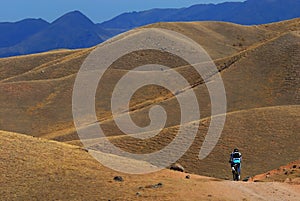 Mountain biker on road in desert mountain