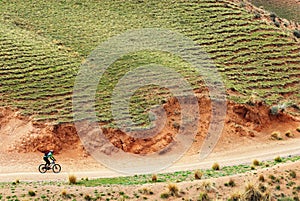 Mountain biker on rural road