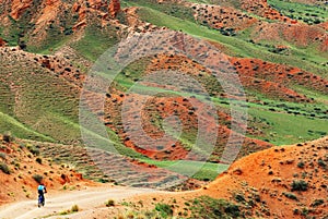 Mountain biker on rural road