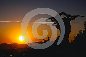 Mountain biker silhouette in sunset