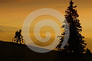 Mountain biker at sunset