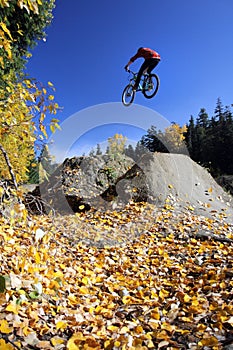 Mountain biker, Whistler