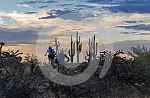 Mountain Bikers On Desert Trail With Cactus