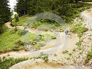 Mountain Bikers riding through woods photo