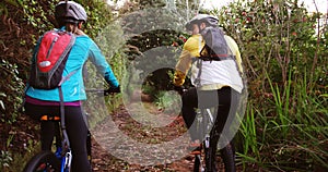 Mountain biking couple riding in the forest on a sunny day