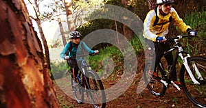 Mountain biking couple riding in the forest on a sunny day