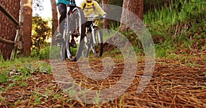 Mountain biking couple riding in the forest on a sunny day