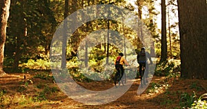 Mountain biking couple riding in the forest on a sunny day