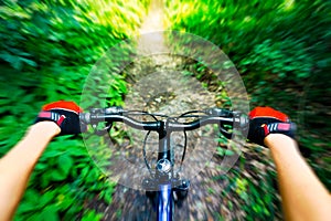 Mountain biking down hill.