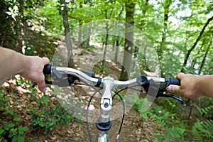 Mountain biking in the forest