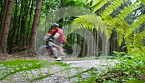 Mountain biking in a forest