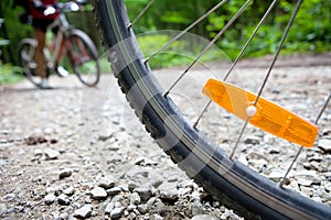 Mountain biking in a forest