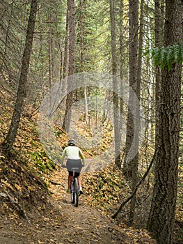 Mountain biking through forest