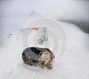 Mountain biking on Goverla in the New Year